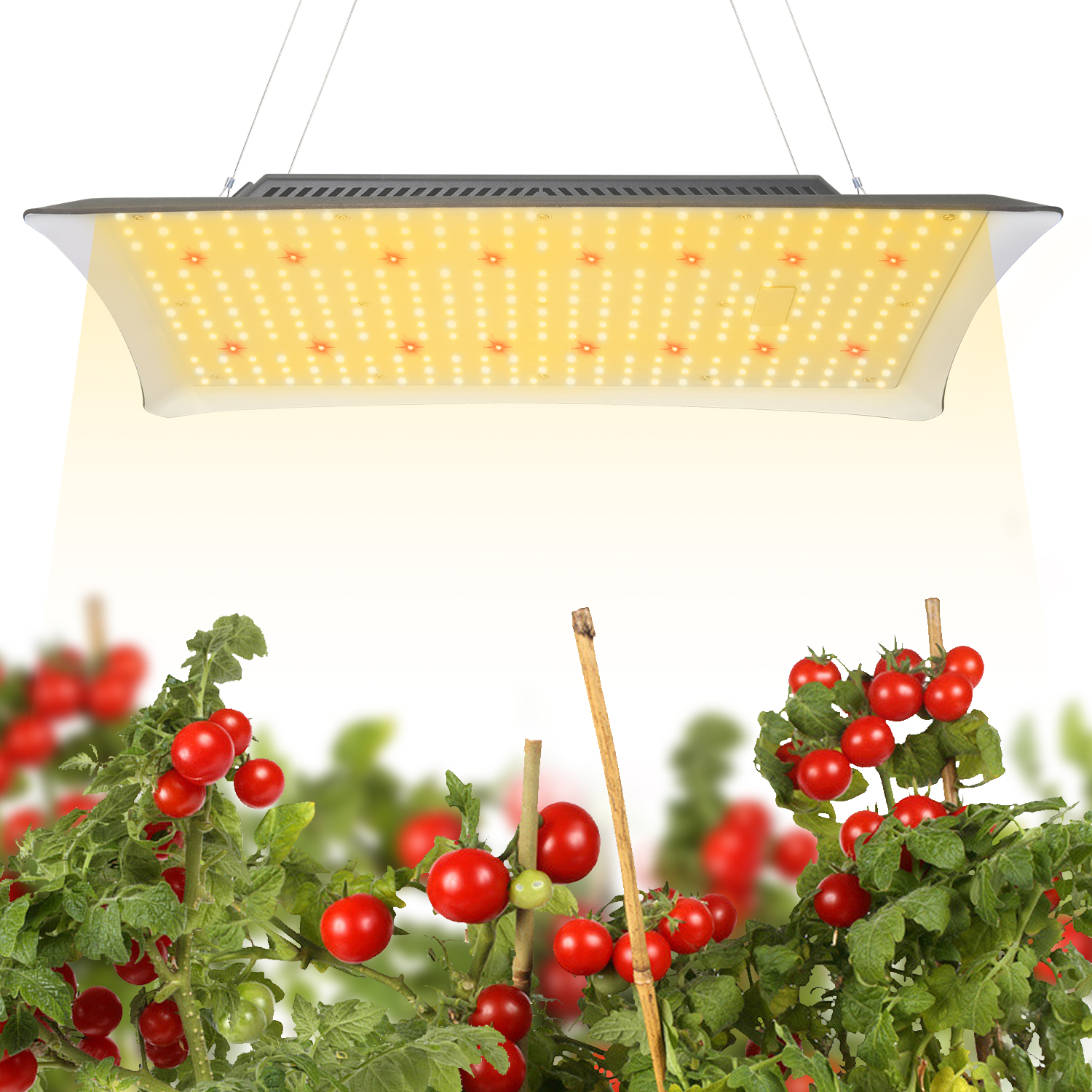 艾博特YD系列1000詳情頁(yè)