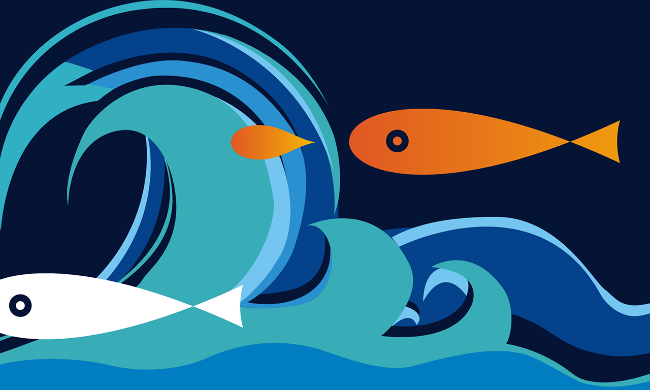 深圳高端企業(yè)LOGO設(shè)計(jì),品牌VI設(shè)計(jì)，企業(yè)VI升級,卡通IP設(shè)計(jì),吉祥物設(shè)計(jì),網(wǎng)站設(shè)計(jì),畫冊設(shè)計(jì),包裝設(shè)計(jì)