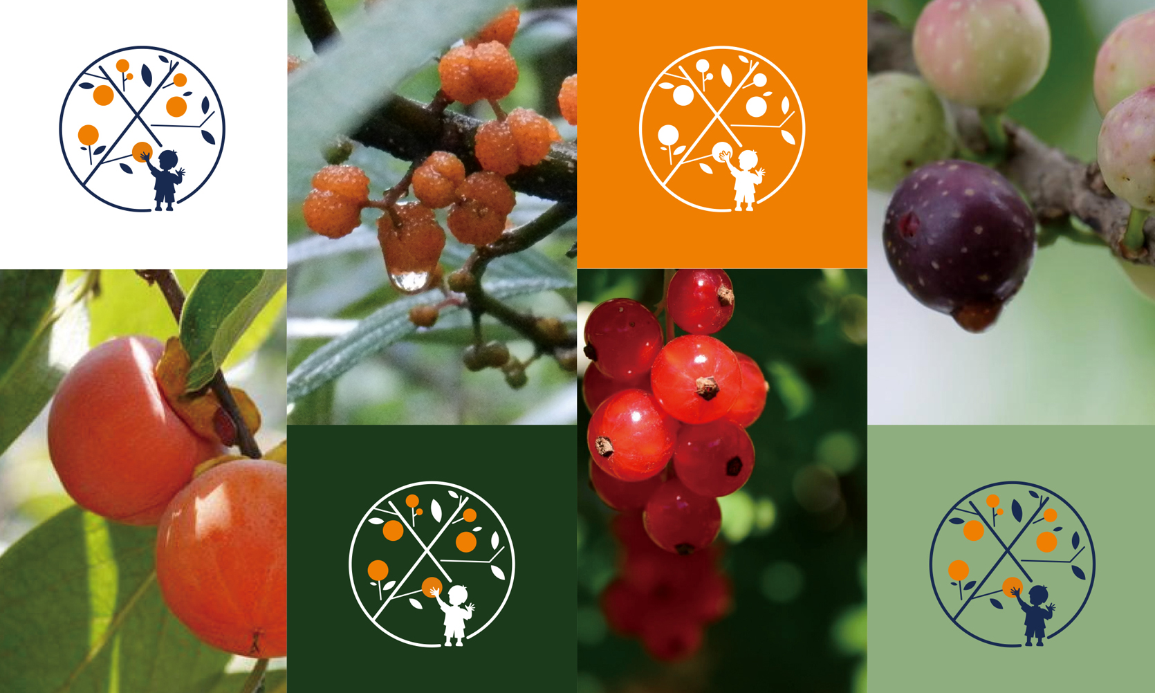 喜山分子果汁-品牌策劃VI設(shè)計