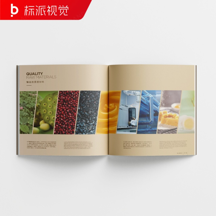 照明畫冊設計，智能照明品牌宣傳設計公司{標派視覺微型VI設計}