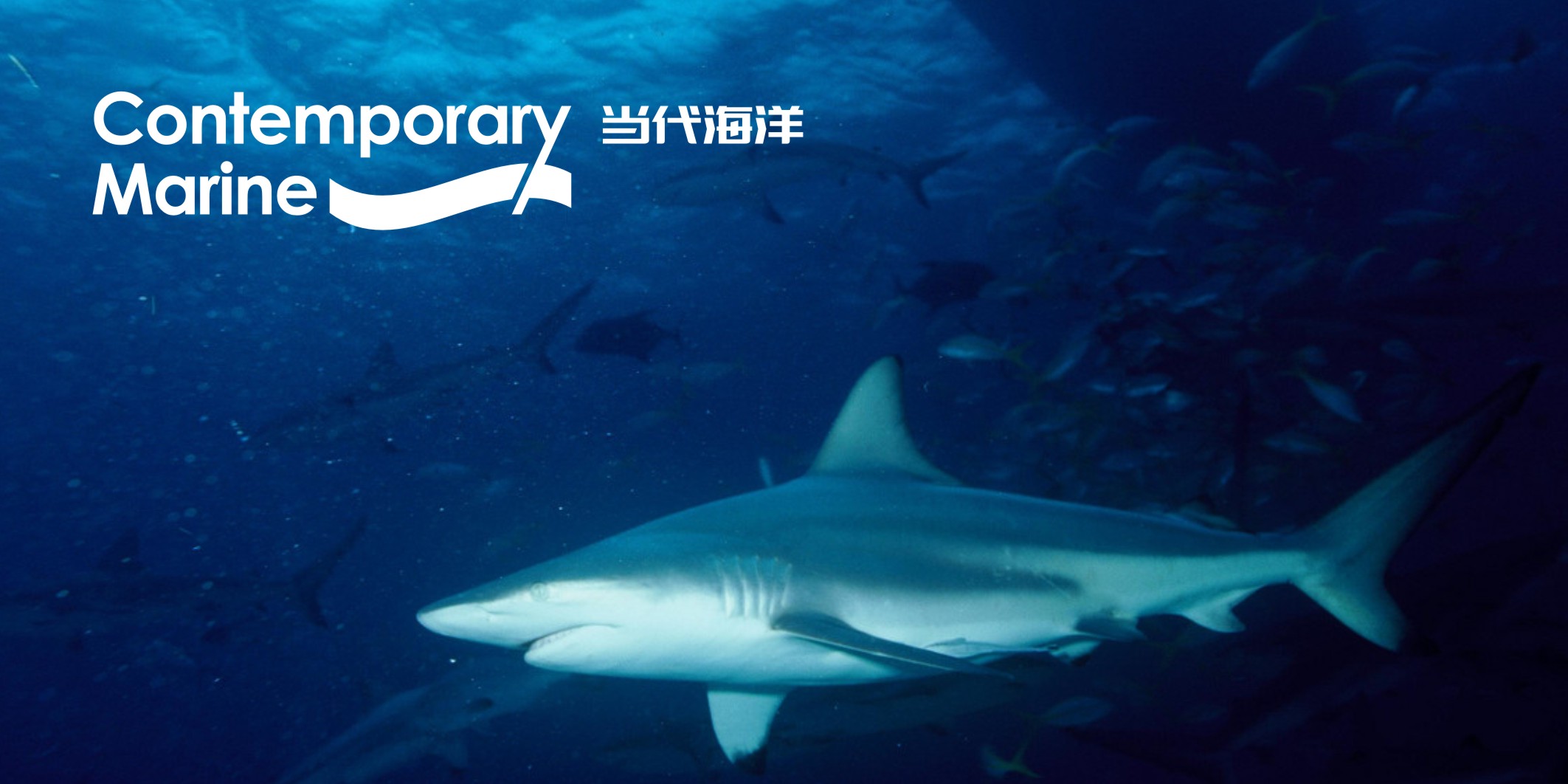 微型VI設(shè)計一般多少錢？2025最新報價解析